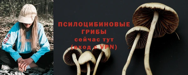 спиды Мегион