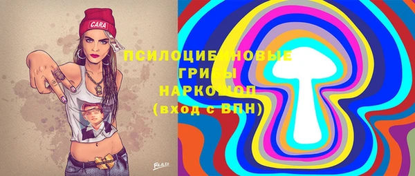 спиды Мегион