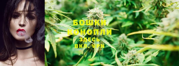 спиды Мегион