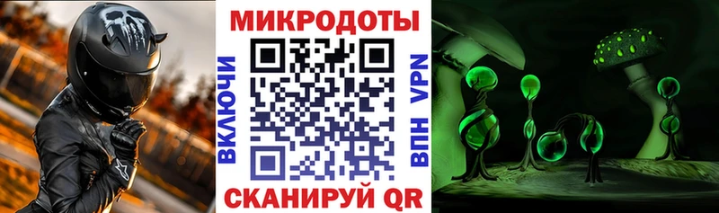 МЕГА онион  Княгинино  Галлюциногенные грибы Cubensis 